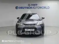 2019 Lexus UX