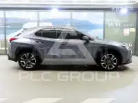 2019 Lexus UX