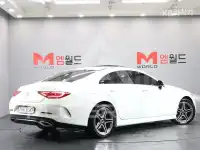 2019 Mercedes Benz CLS-Class