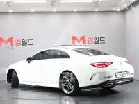 2019 Mercedes Benz CLS-Class