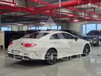 2019 Mercedes Benz CLS-Class