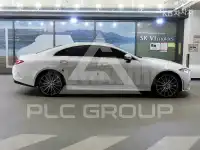 2019 Mercedes Benz CLS-Class