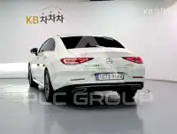 2019 Mercedes Benz CLS-Class