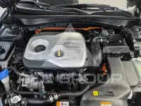 2019 KIA K5