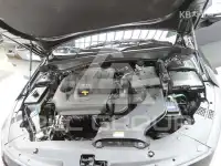 2019 KIA K5