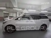 2019 KIA Carnival