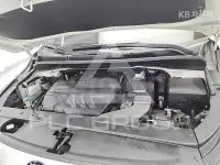 2019 KIA Carnival