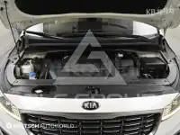 2019 KIA Carnival
