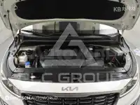 2019 KIA Carnival