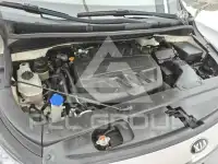 2019 KIA Carnival