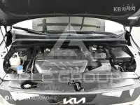 2019 KIA Carnival