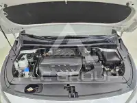 2019 KIA Carnival