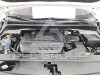 2019 KIA Carnival