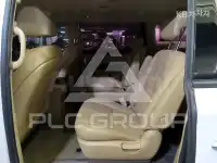 2019 KIA Carnival