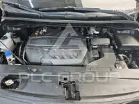 2019 KIA Carnival