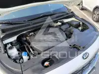 2019 KIA Carnival