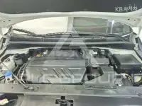 2019 KIA Carnival