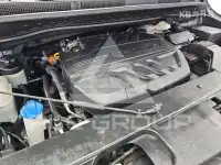 2019 KIA Carnival