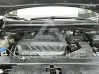 2019 KIA Carnival