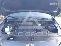 2019 KIA Carnival
