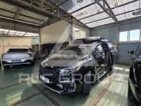 2019 KIA Carnival