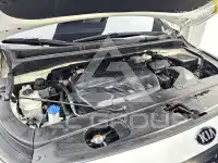 2019 KIA Carnival