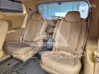 2019 KIA Carnival