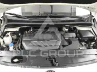 2019 KIA Carnival