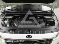 2019 KIA Carnival