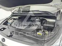 2019 KIA Carnival