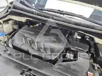 2019 KIA Carnival