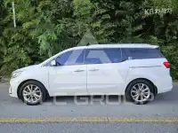 2019 KIA Carnival