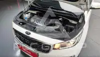 2019 KIA Carnival