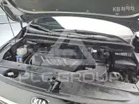 2019 KIA Carnival