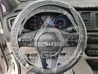 2019 KIA Carnival