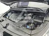 2019 KIA Carnival