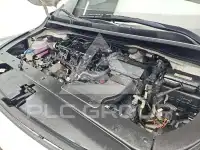 2019 KIA Carnival
