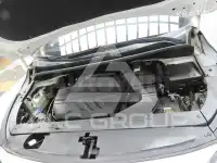 2019 KIA Carnival