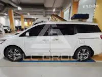 2019 KIA Carnival