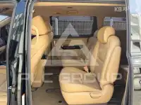 2019 KIA Carnival