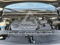 2019 KIA Carnival