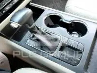 2019 KIA Carnival