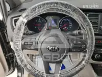 2019 KIA Carnival