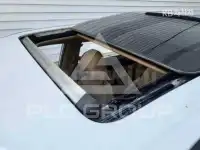2019 KIA Carnival
