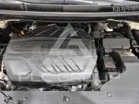 2019 KIA Carnival
