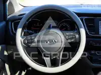 2019 KIA Carnival