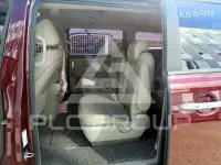 2019 KIA Carnival