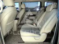 2019 KIA Carnival