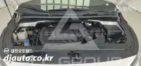 2019 KIA Carnival