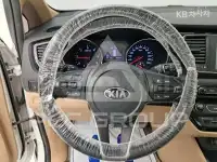 2019 KIA Carnival